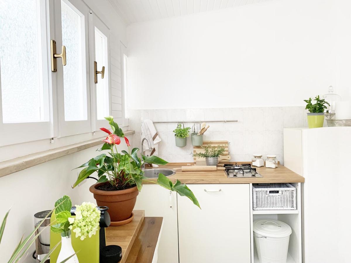 Tap Apartments - In Independent House With Private Garden Alghero Esterno foto
