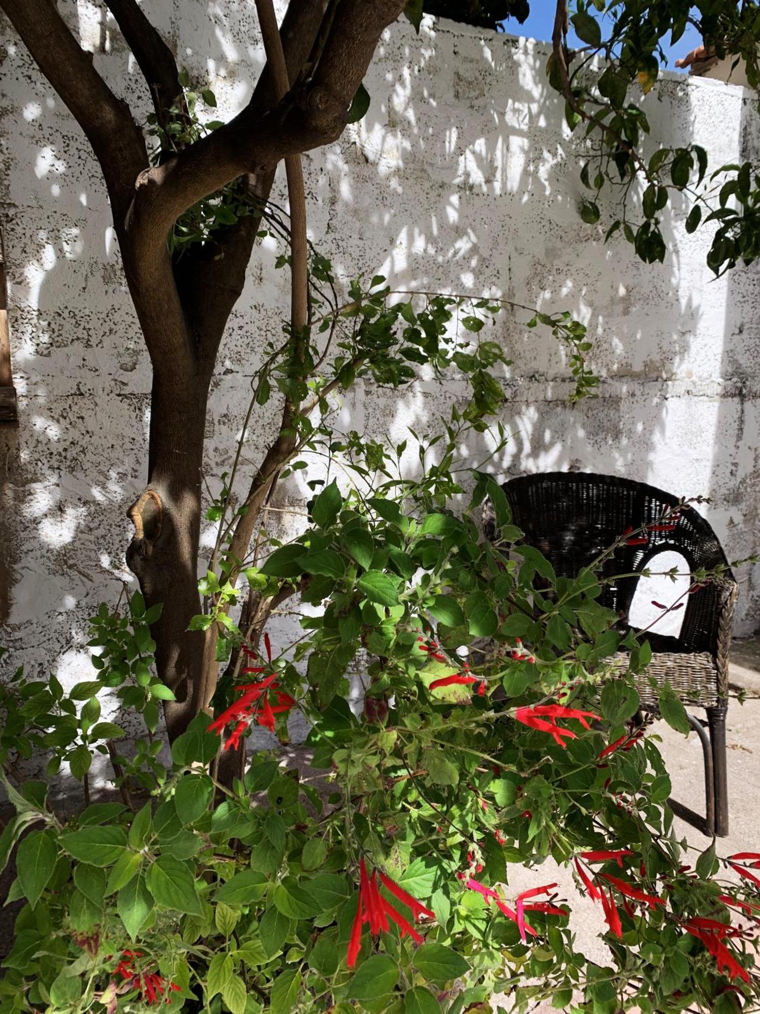 Tap Apartments - In Independent House With Private Garden Alghero Esterno foto