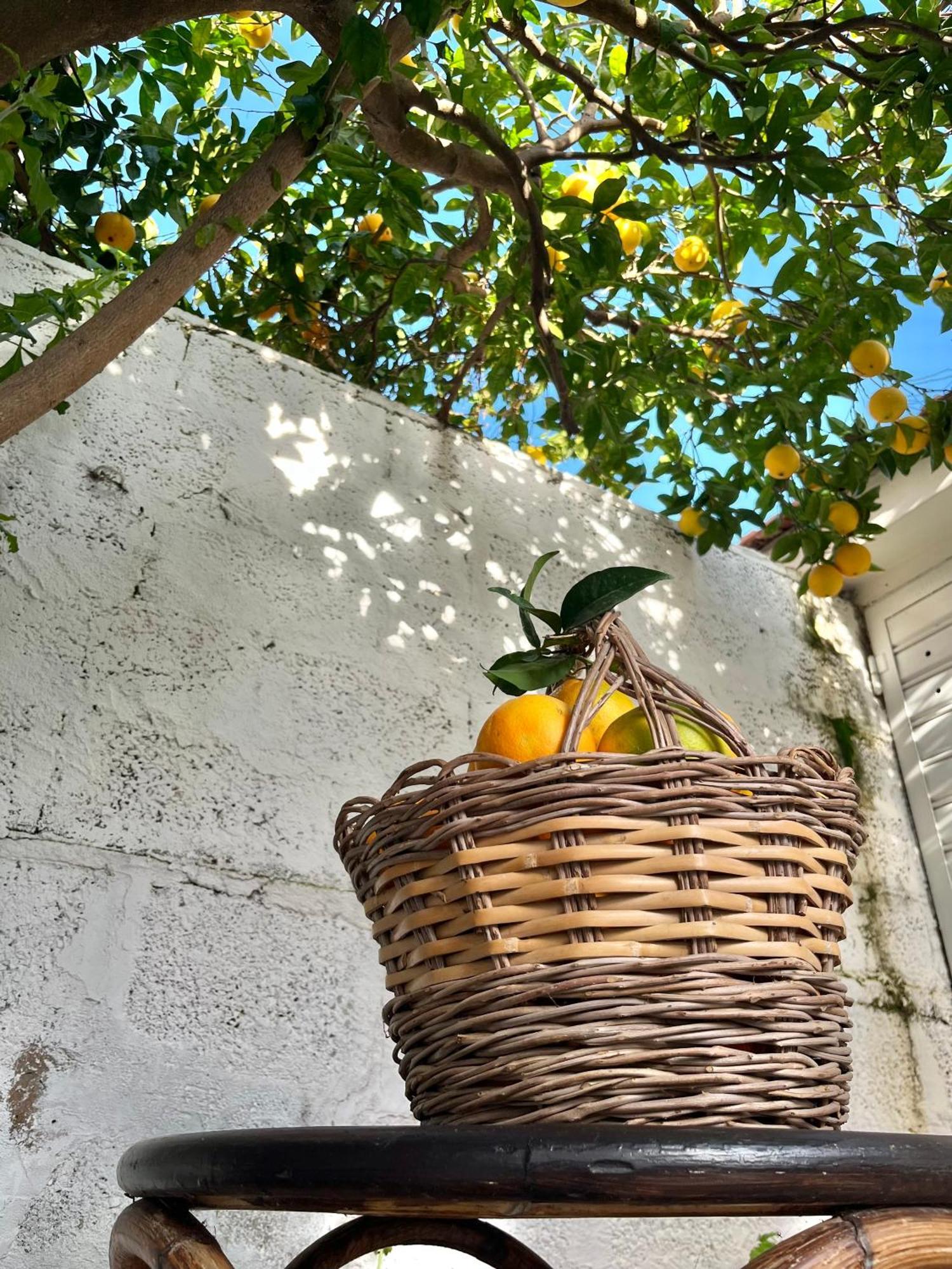 Tap Apartments - In Independent House With Private Garden Alghero Esterno foto